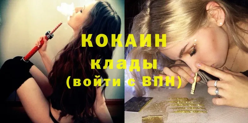 Cocaine FishScale  купить закладку  Приволжск 